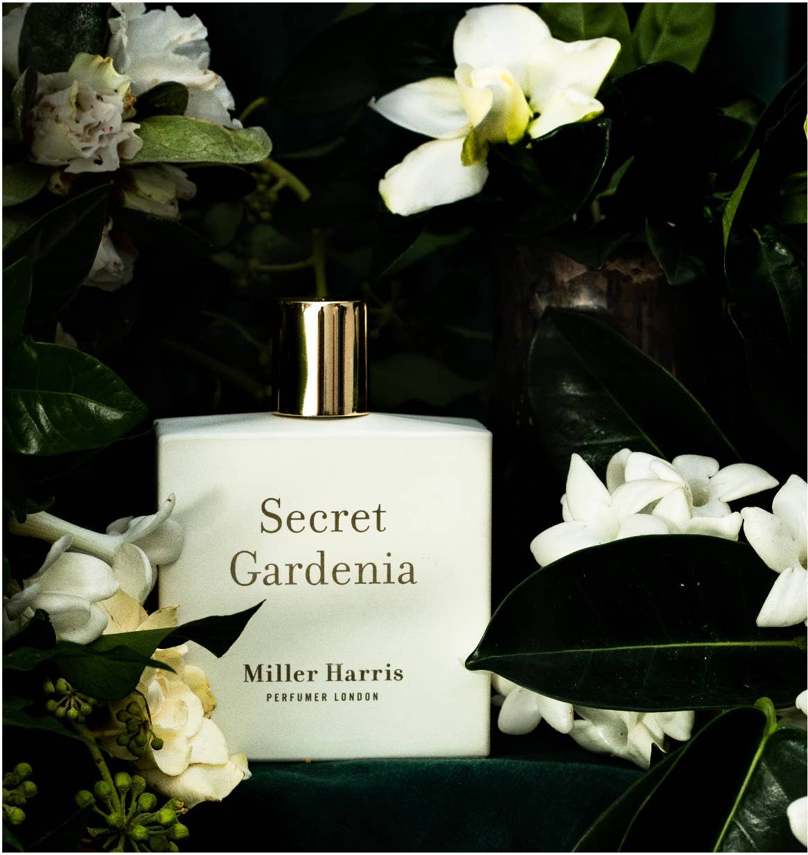 Miller Harris Perfumer London - Wholesale Perfume/Eau de Toilette - Secret Gardenia - A floral, aquatic fragrance6