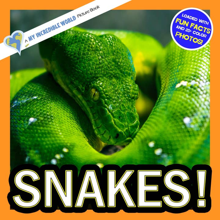 Snakes! A My Incredible World Picture Book for Children for wholesale by My Incredible World