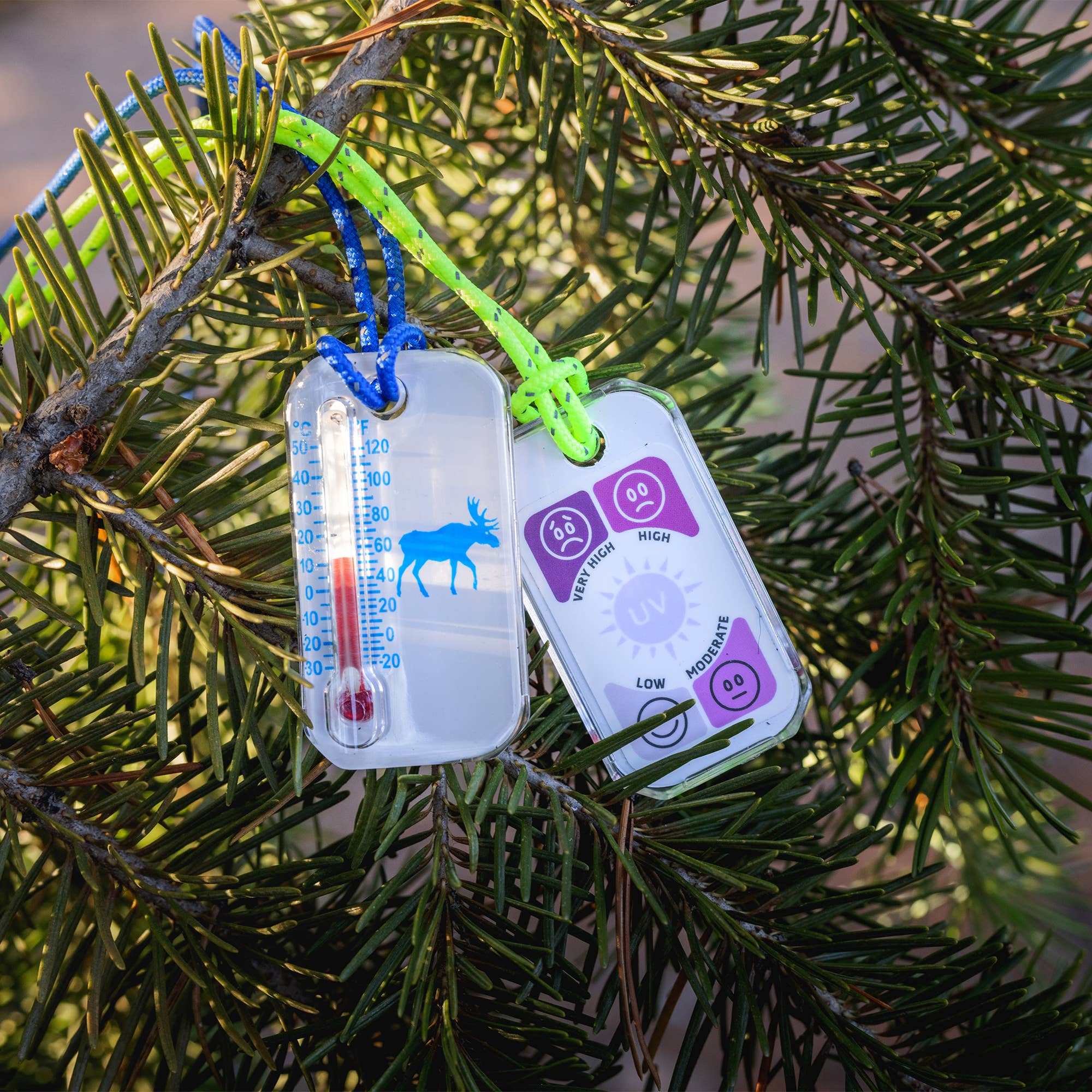 Big Discoveries / Sun Co. – wholesale Termometer – Wildlife Zip-O-Gage - Älg - Utomhustermometer för barn6