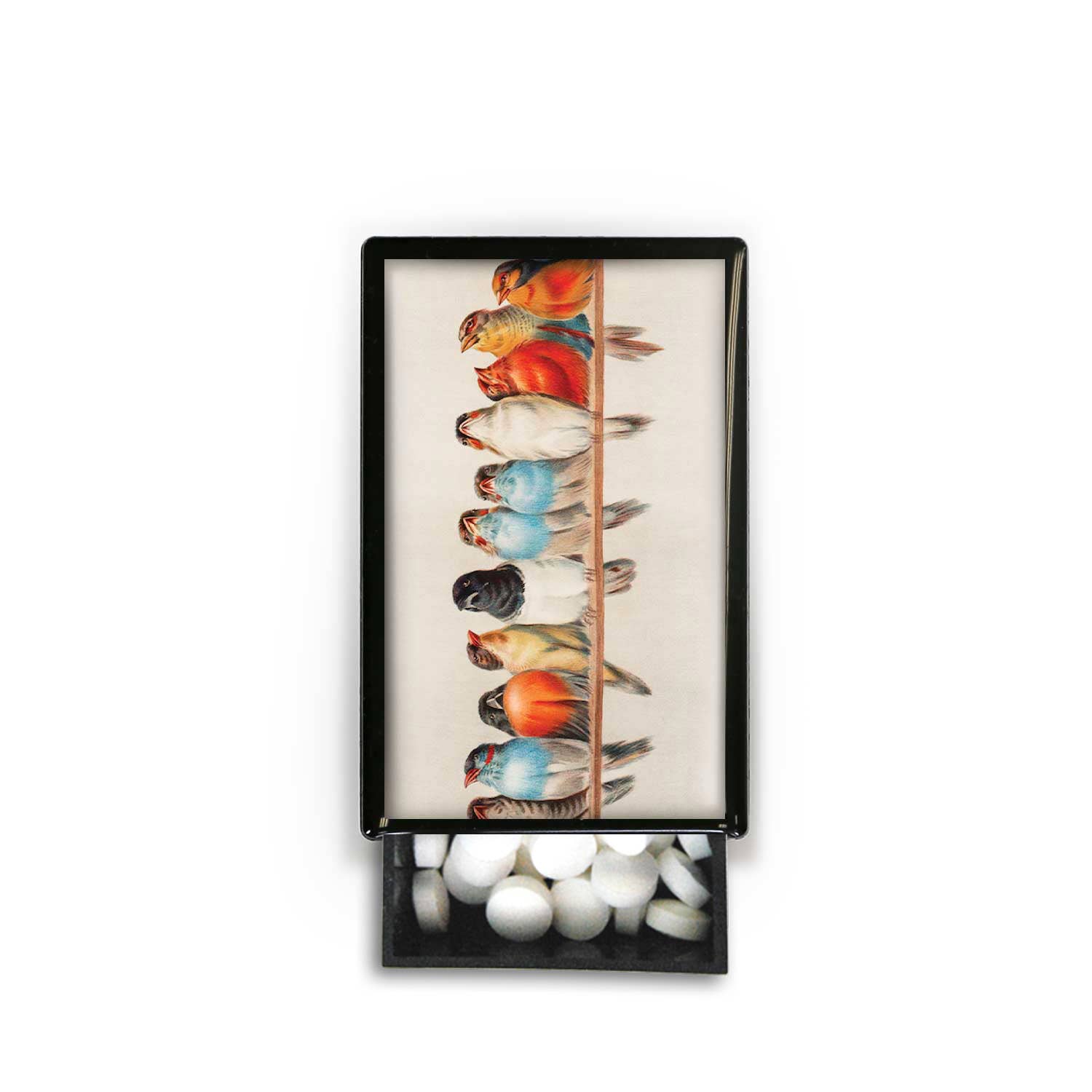 Lucy Lu Designs – Großhandel Dekoschachteln – Vögel in einer Linie Wire Sky Natur Fly Feathers Slide Box1