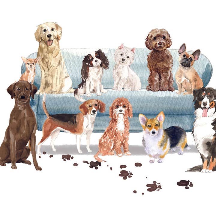 Biglietti da Nota con Cani su un Divano per la vendita all'ingrosso da parte di Bourbon & Bacon