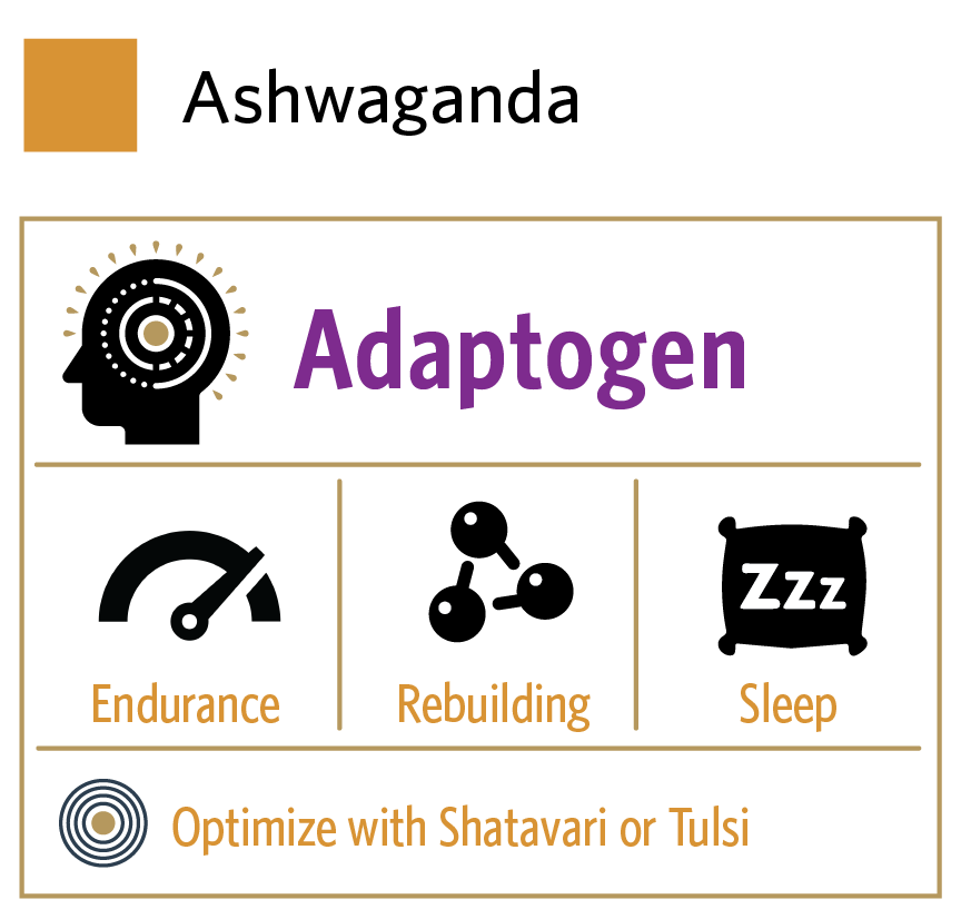 ORGANIC INDIA - Vente Supplément oral/vitamine - Ashwagandha2