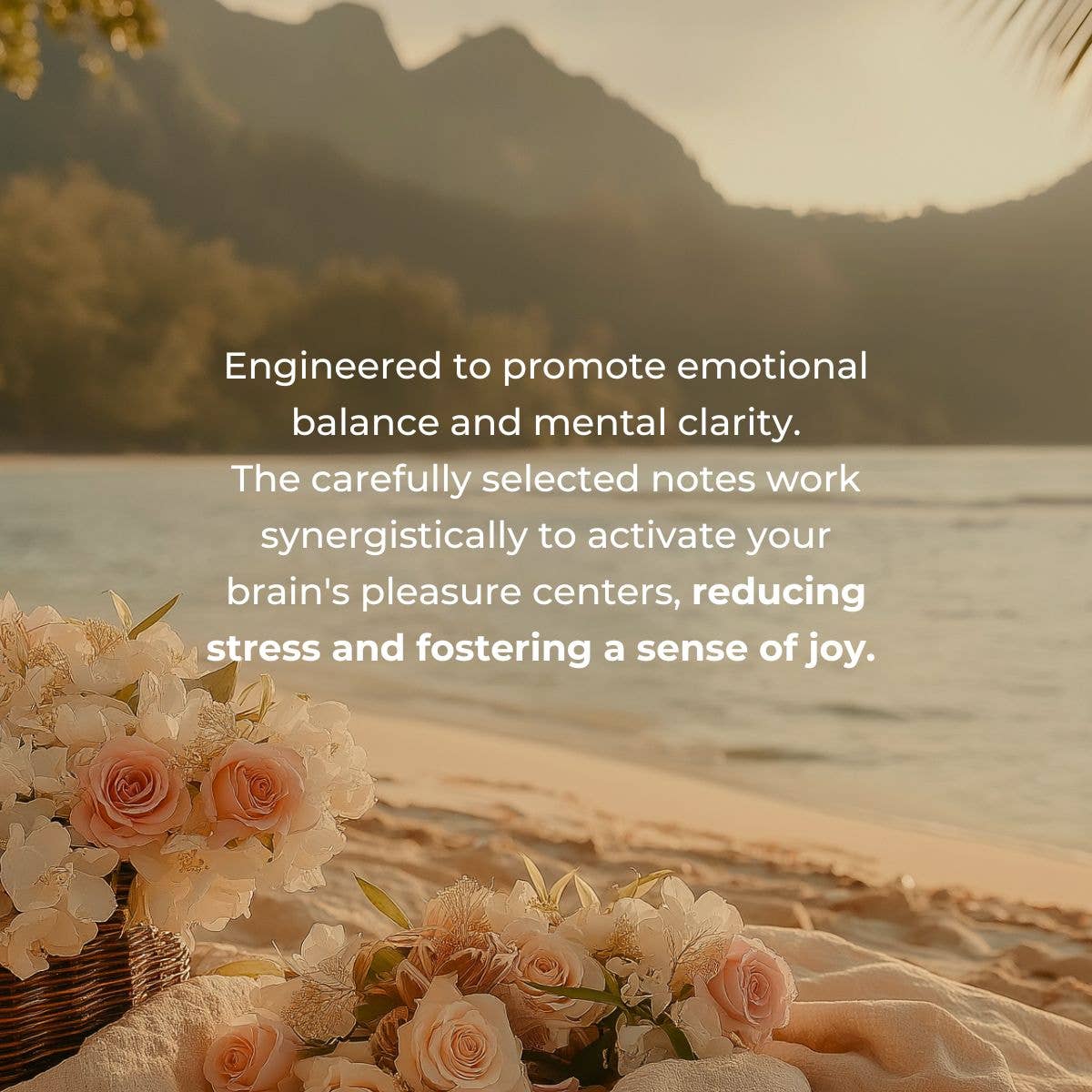 JUARA Skincare - Wholesale Roll-On Fragrance - Candlenut Perfume Oil  0.34 Oz3