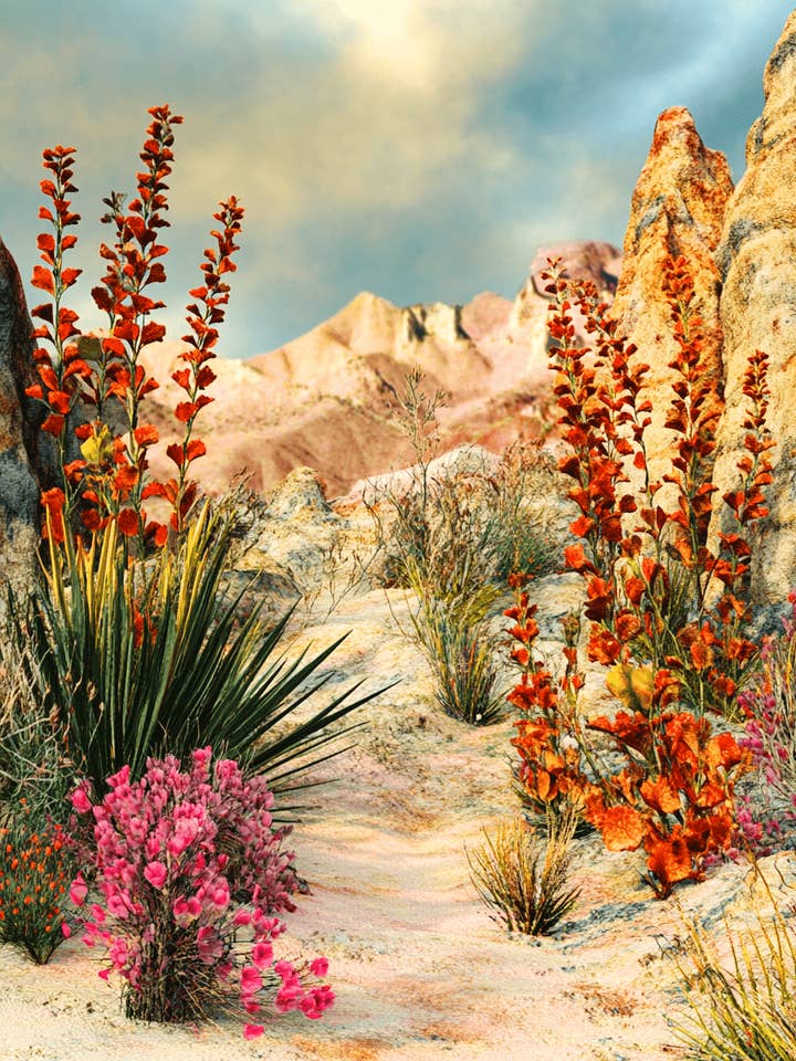 Sonoran Desert Flora - Southwestern Home Decor Wall Art Prints – 8″x10″ Artwork for 11″x14″ Frame for wholesale by Mowbi