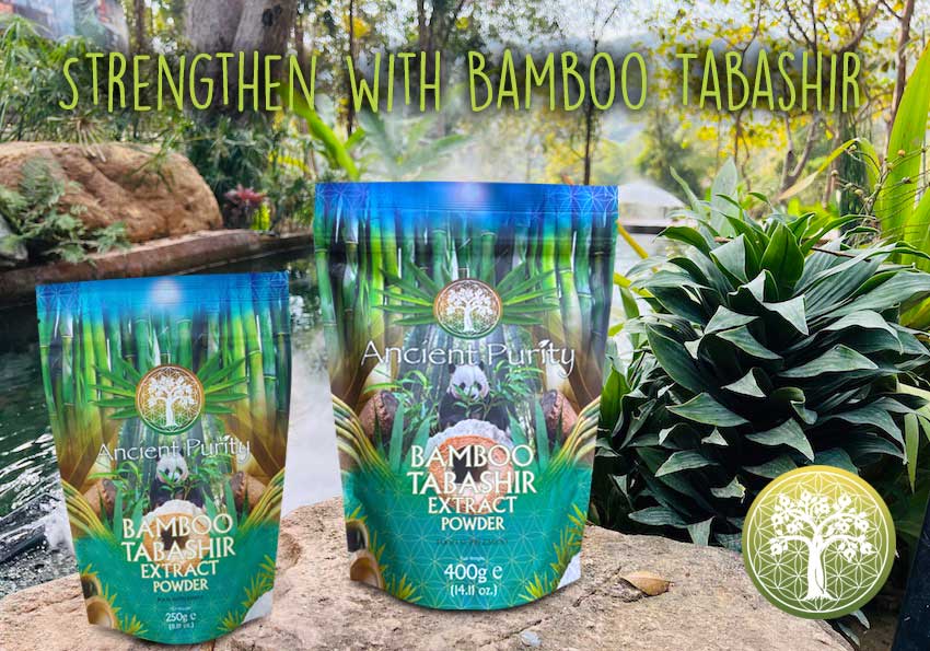 Ancient Purity – wholesale Protein-/superfoodpulver – Bambutabashir-extraktpulver | Bambuharts | Kiseldioxid6
