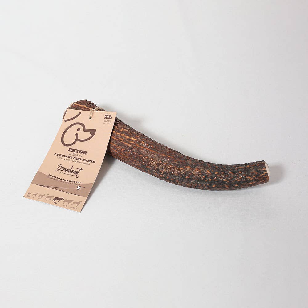 Evident - Wholesale Pet Bone/Rawhide - Dog - EKTOR - Whole deer antler to chew on for dogs3