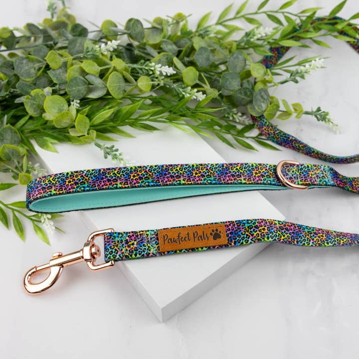 Wilder Regenbogen - Weiche Spitze für den Großhandel von Pawfect Pals