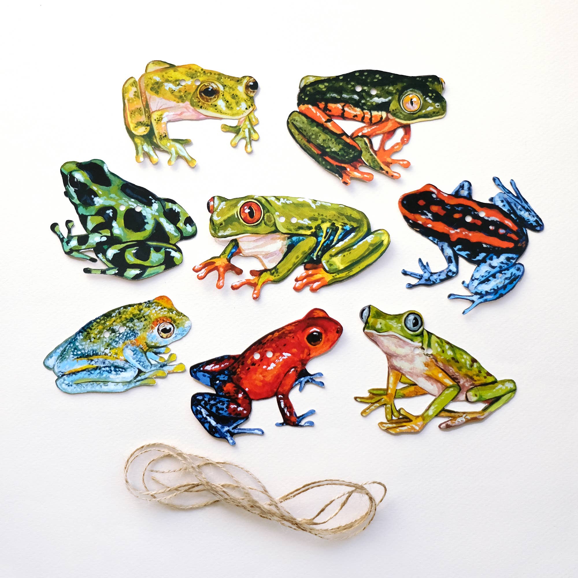Doro Marcello - Wholesale Bunting/Garland - Frog Garland | DIY Paper Garland Kit | Birthday Decor4