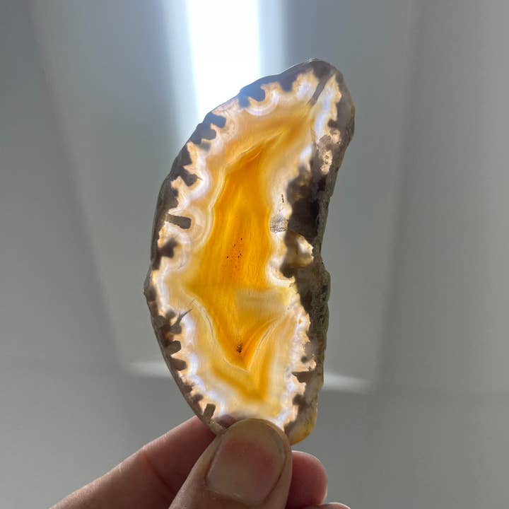 Lot de 5 tranches d'agate polies pour la vente par Crystal Deal