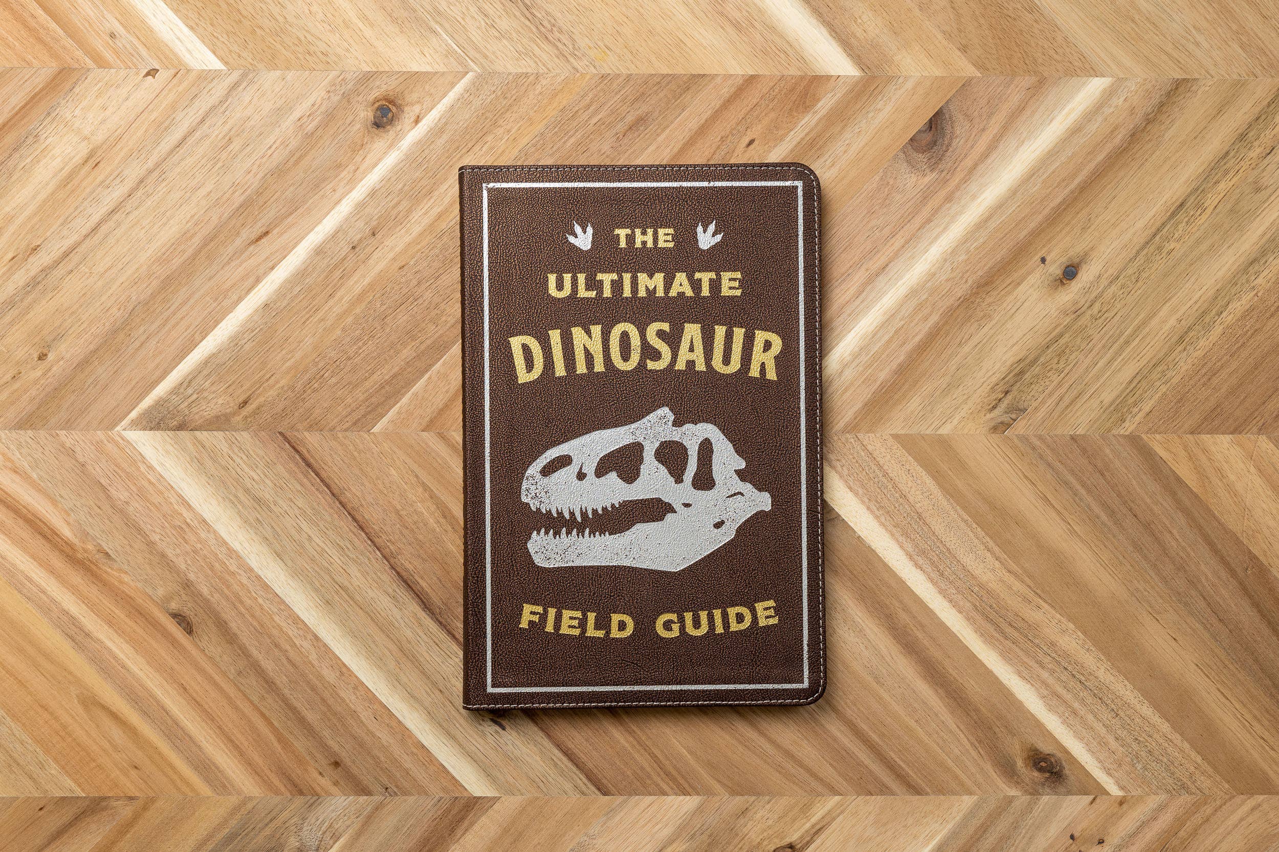 HarperCollins Focus - Wholesale Reference - Ultimate Dinosaur Field Guide Illustrated by Csotonyi2