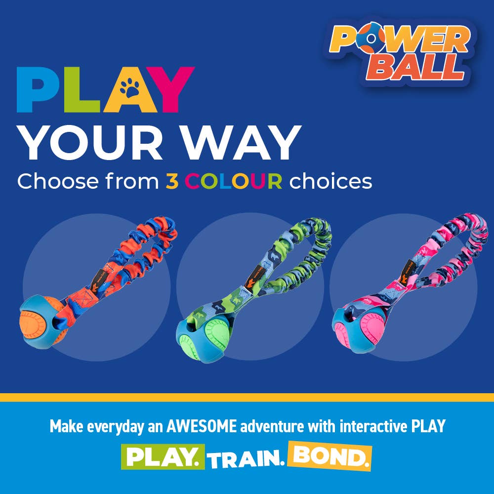 Tug-E-Nuff – wholesale Pet fetch ball – Dog – Pocket PowerBall Bungee Tug | Fetch Dog Toys | Tug-E-Nuff5