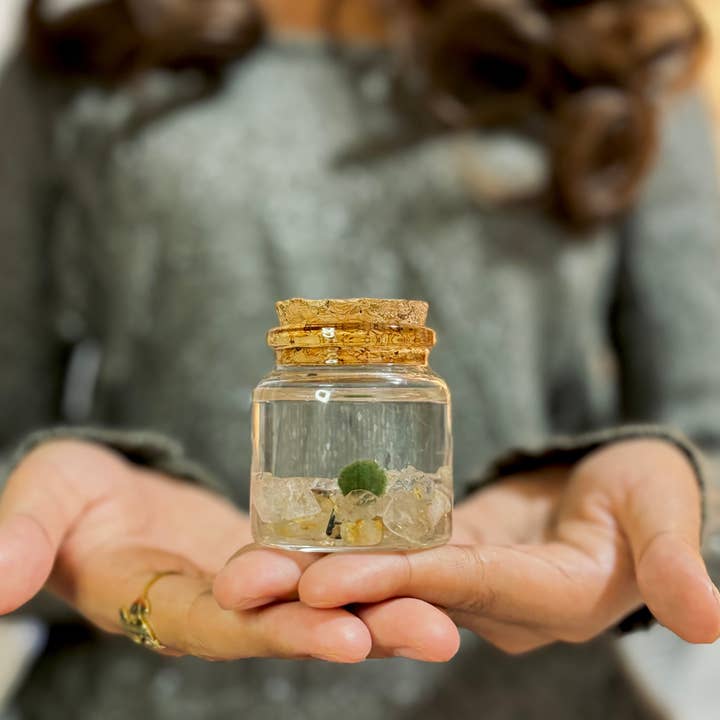 Moss Amigos | Moss Ball Terrariums - Wholesale Live Plant - Small Marimo Moss Ball Terrarium with Citrine Gemstones1