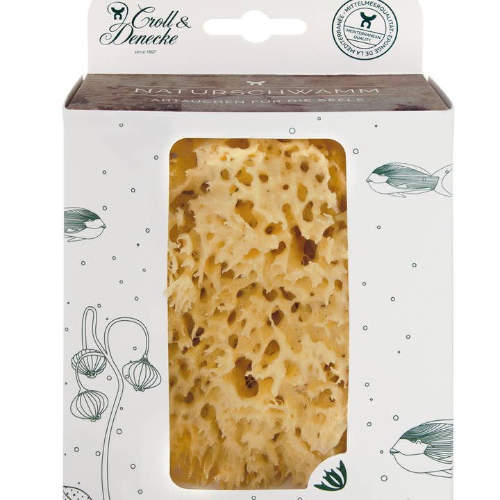 Naturschwamm in umweltfreundlicher Geschenkbox für den Großhandel von Croll & Denecke