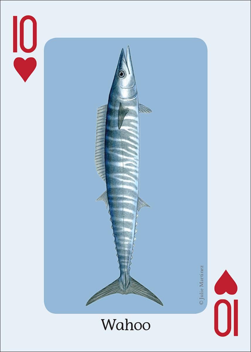 AdventureKEEN - Wholesale Playing Cards - Saltwater Fish of Gulf & Atlantic Playing Cards2