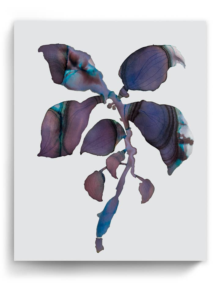 Stampe d'Arte Botanica da Parete Astratte Flora Pianta Acquerello Carta & Tela | Orpha 7 per la vendita all'ingrosso da parte di Marta Spendowska