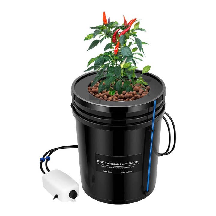 Hydroponic Grow System for wholesale by STRNG Seeds