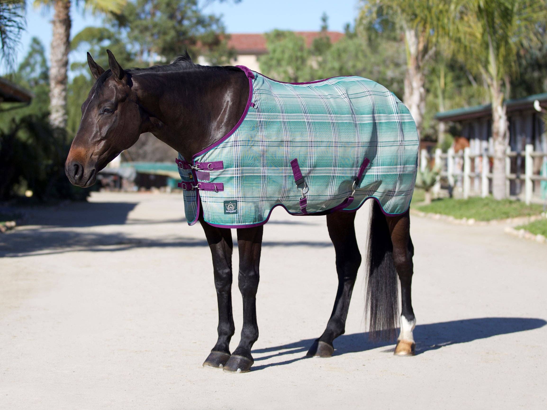 Kensington - Wholesale Horseback Riding Gear - 73% UV Horse Protective Fly Sheet SureFit® Designed for an ideal Fit4
