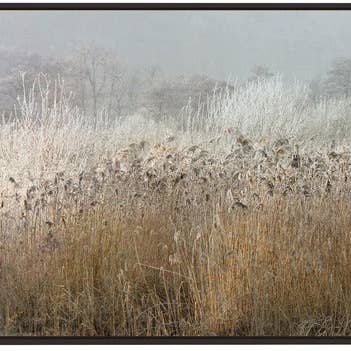 GTA ART - Wholesale Art Print - Wall art Wintermorning6