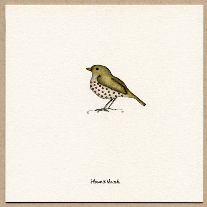 Hermit Thrush- Boxed Greeting Cards. for wholesale by Beth Mueller