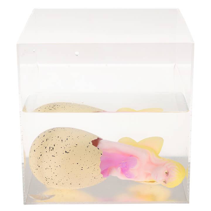 Rex B2B - Europe - Wholesale Classic Toy - Kids - Giant hatching fairy egg - Fairies in the Garden6