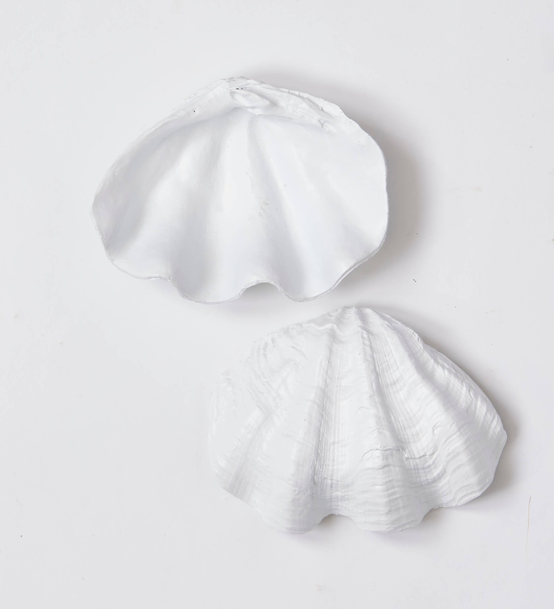 WORTH IMPORTS - Wholesale Decorative Plate/Dish/Bowl - 8" Shell Bowl0