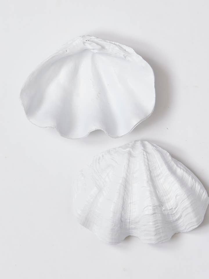 8" Shell Bowl for wholesale by WORTH IMPORTS