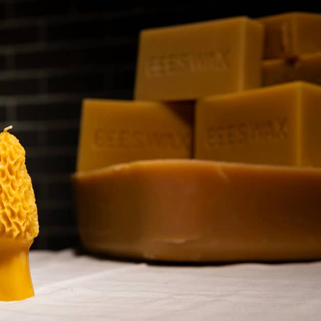 Waxing & Raining Handmade Goods - Wholesale Novelty Candle - Beeswax Morel Mushroom Candles | Beeswax Candle | Non-toxic