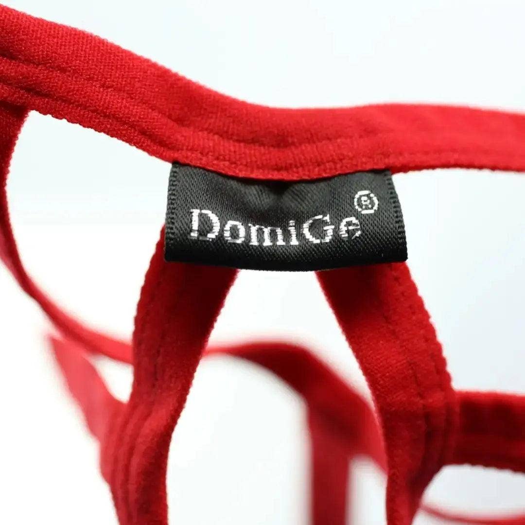 DomiGe – Großhandel Unterwäsche – Herren – Herren Netz-String aus Nylon mit offenem Frontloch und U-förmig konturierter Tasche, T-Back3