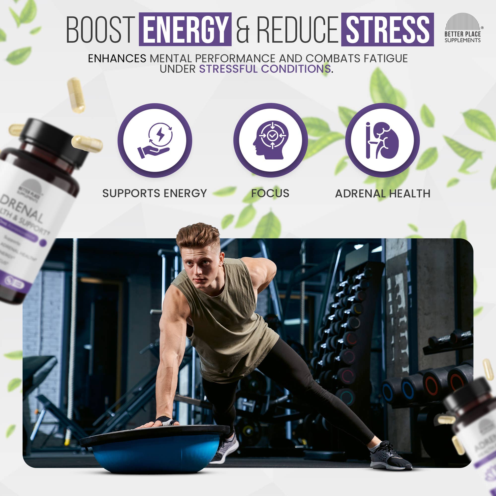 Better Place Brands - Wholesale Oral Supplement/Vitamin - Adrenal Health & Support – Ashwagandha + L-Tyrosine5