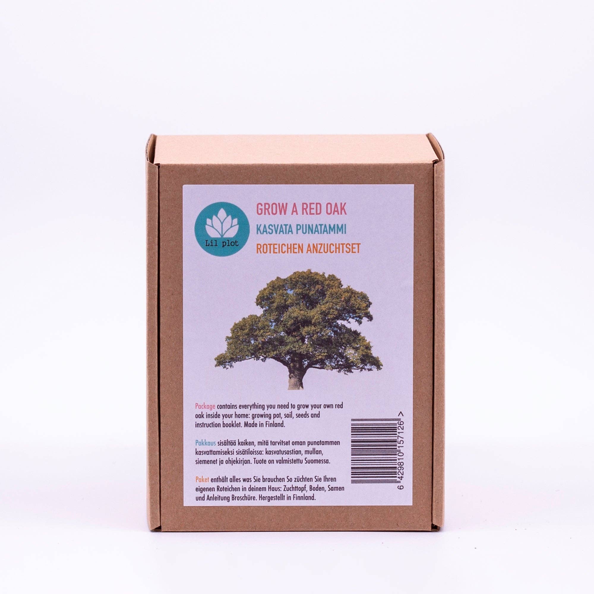 Lil Plot - Wholesale Plant Seeds - Oak Tree Growing Kit5
