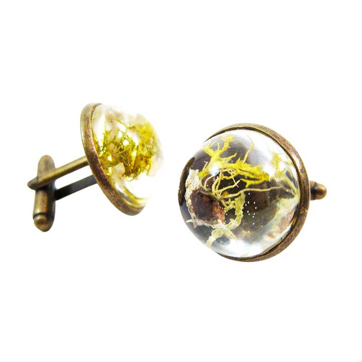 Terrarium Cufflinks for wholesale by Squidlicks