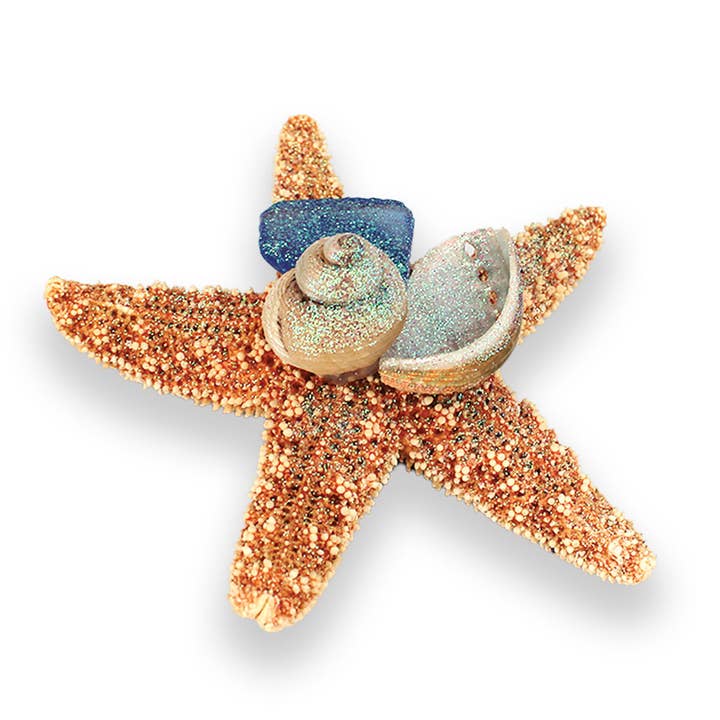 California Seashell Company - Wholesale Magnet - Sea Glass Sugar Starfish Collage Magnet5