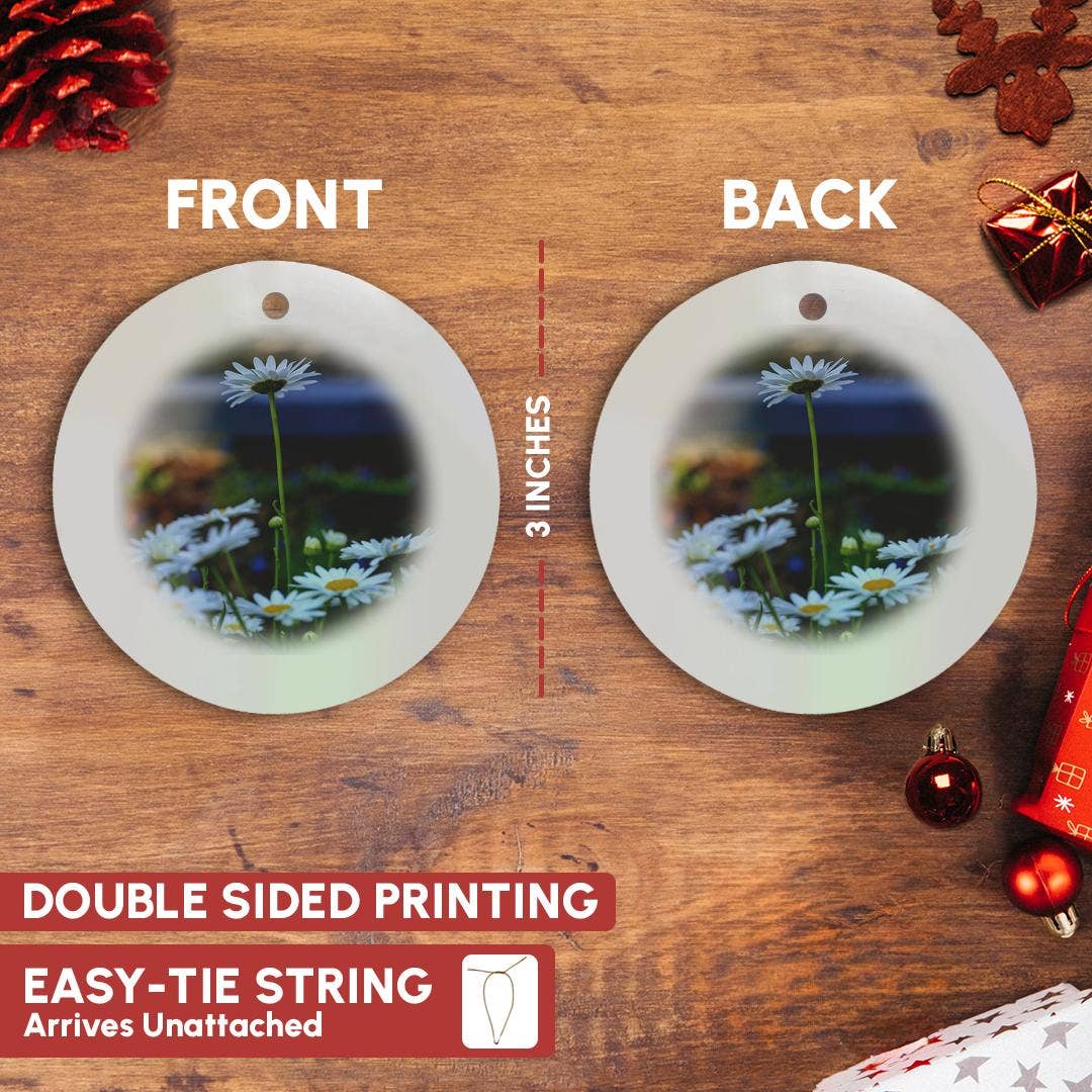 3dRose – wholesale Prydnad – 3dRose, Savannah, Georgia. Klunga av prästkragar i Forsyth Park, prydnad2