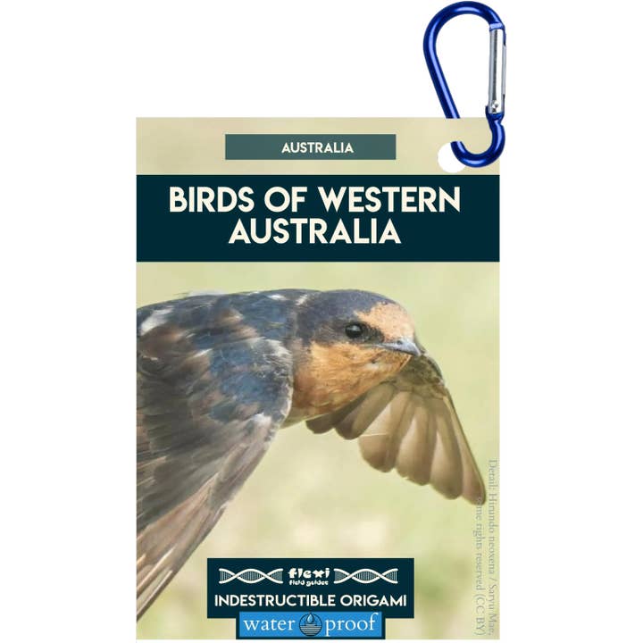 Uccelli dell'Australia Occidentale-Origami Indistruttibile per la vendita all'ingrosso da parte di Flexi Field Guides