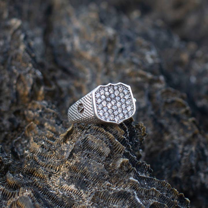 Bague Sceau Lion en Diamants Gris Galaxie pour la vente par NicolasAmbrosio