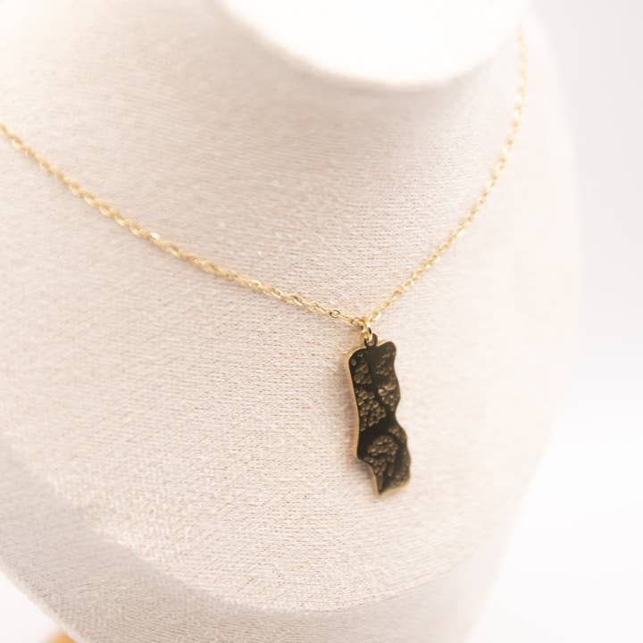 Casa Sofia - Wholesale Pendant/Charm Necklace - "Portugal Map" necklace in stainless steel3