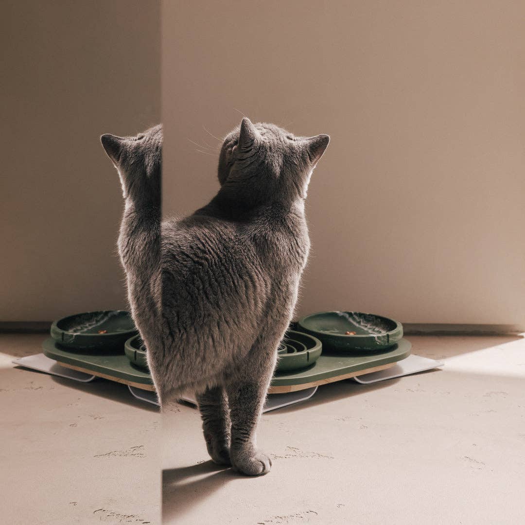 PINO - Wholesale Pet Bowl - Cat - Slow Feeder Bowl for Cats12