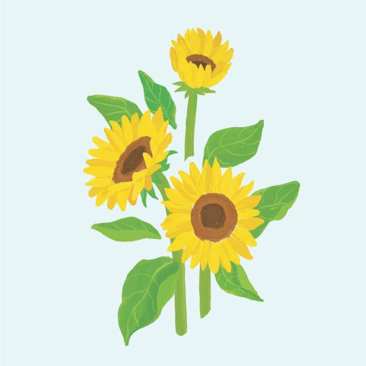 papercrush - Wholesale Everyday Greeting Card - Sunflower pop-up card4