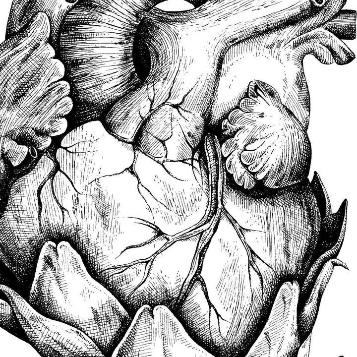 Atypik' Concept - Wholesale Art Print - Artichoke Heart Illustration - A32