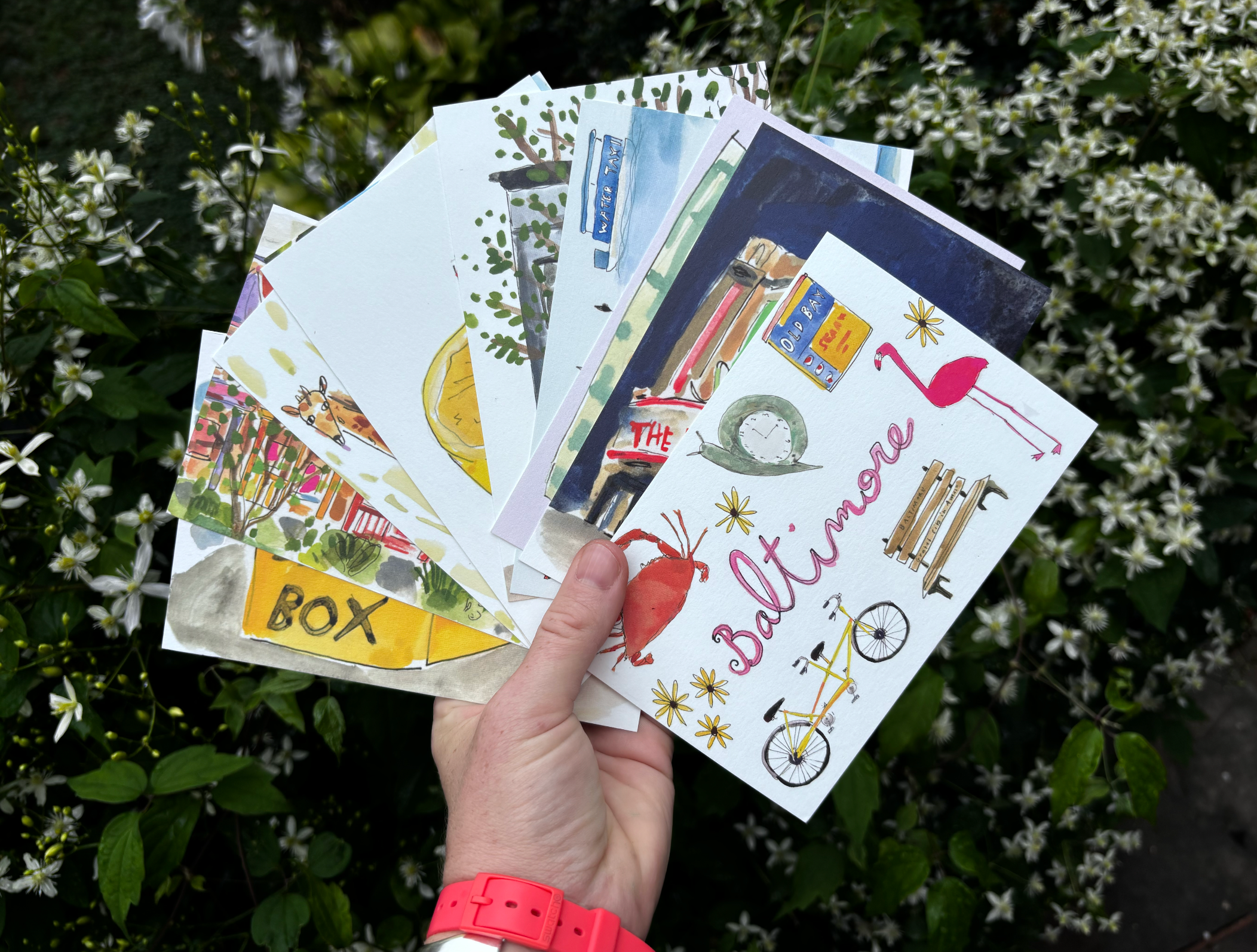 ELIZABETH GRAEBER art + illustration - Wholesale Postcard Set - Baltimore postcard pack1