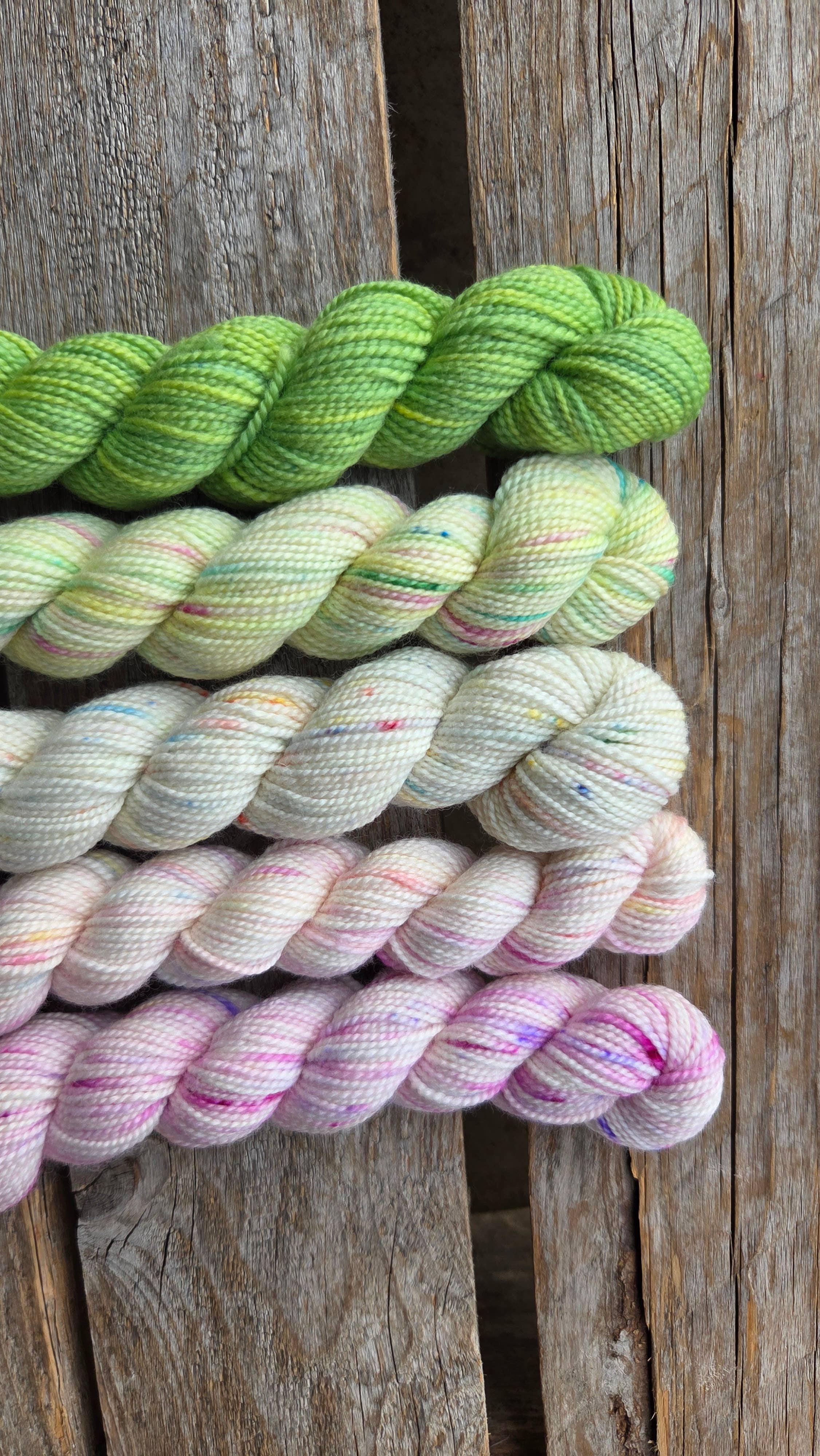 Koigu Wool Designs - Vente Fils à tricoter - Boîtes de Peinture de Fleurs Provinciales (ensembles de mini-écheveaux)13