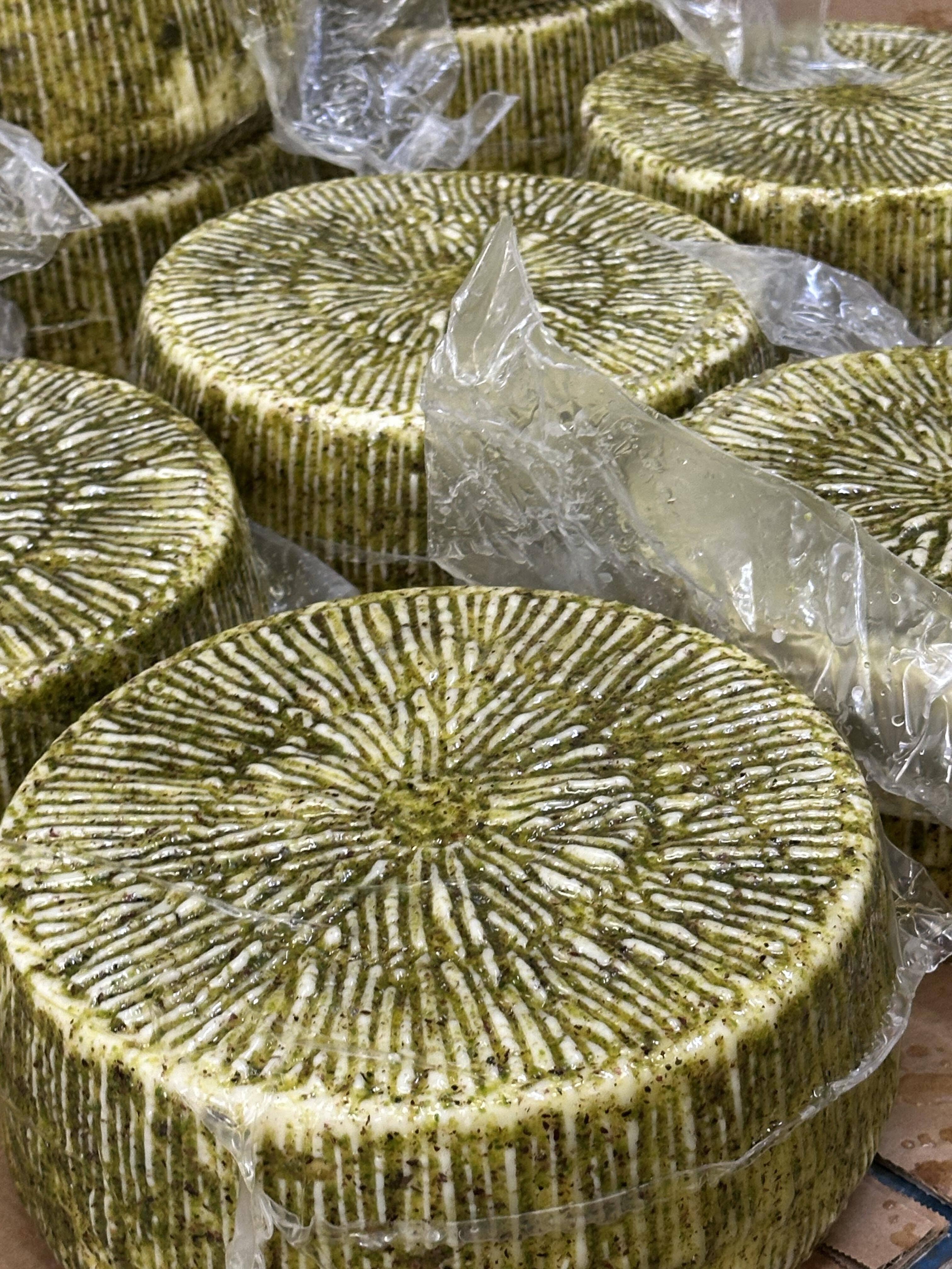 Les Deux Siciles - Wholesale Cheese - Sicilian Pecorino With Pistachio First Ripening4