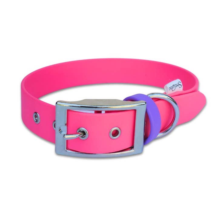 Pithaya, collar para perros Biothane hecho a mano en Francia para venta al por mayor de Stylidog