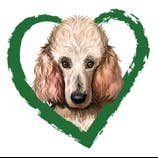 Sticker en vinyle Caniche 4 » pour la vente par Wunuvakind