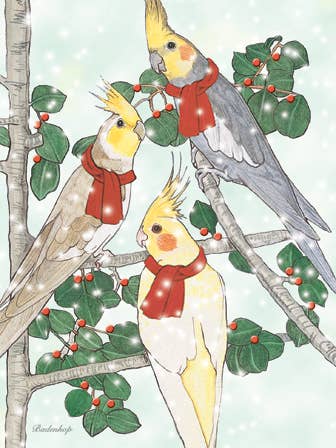 Weihnachtskarten Papagei, Nymphensittich, 10er-Pack für den Großhandel von Pipsqueak Productions