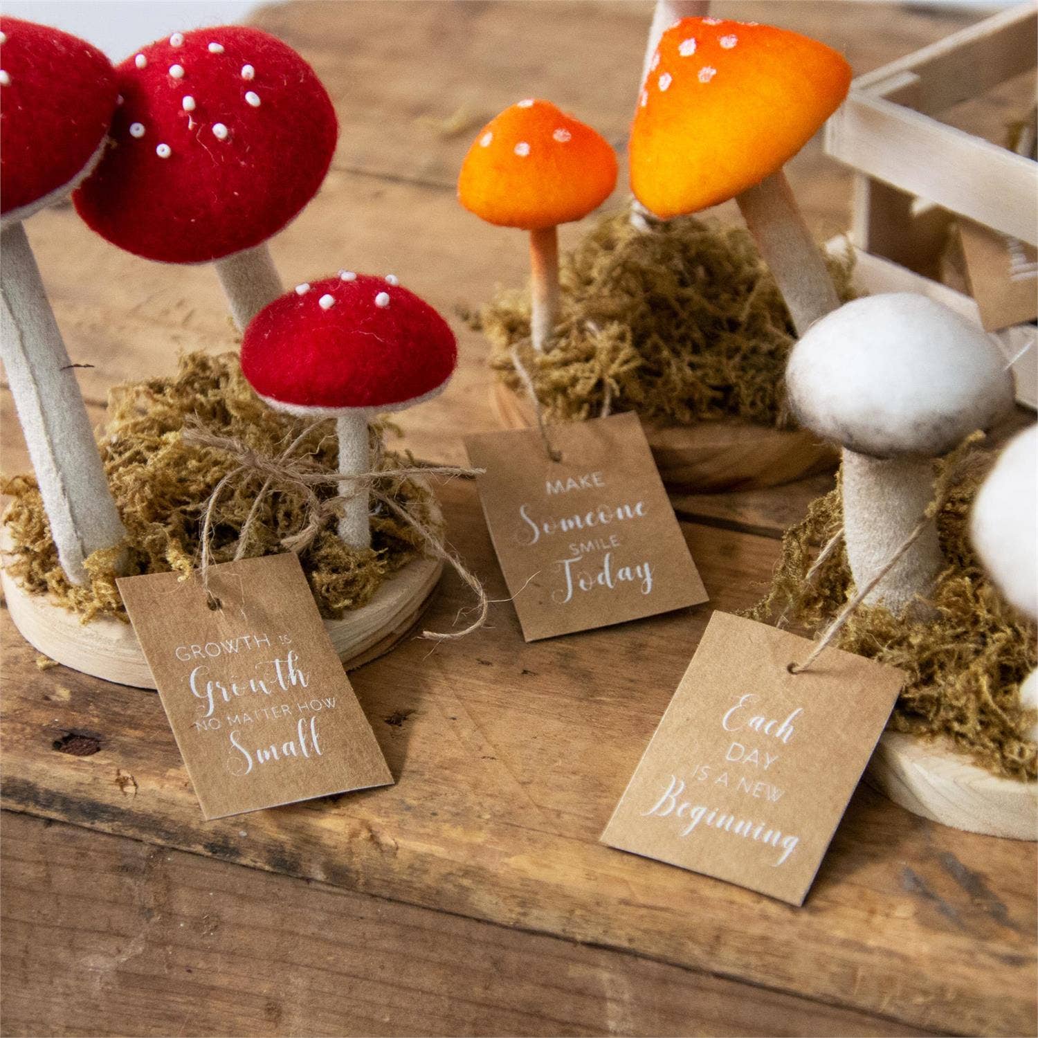 Audrey's Home & Gift – Objeto de mesa decorativo por atacado – Cate Of 9 - Figuras Macias Trio de Cogumelos (Pk/09 Ast)3