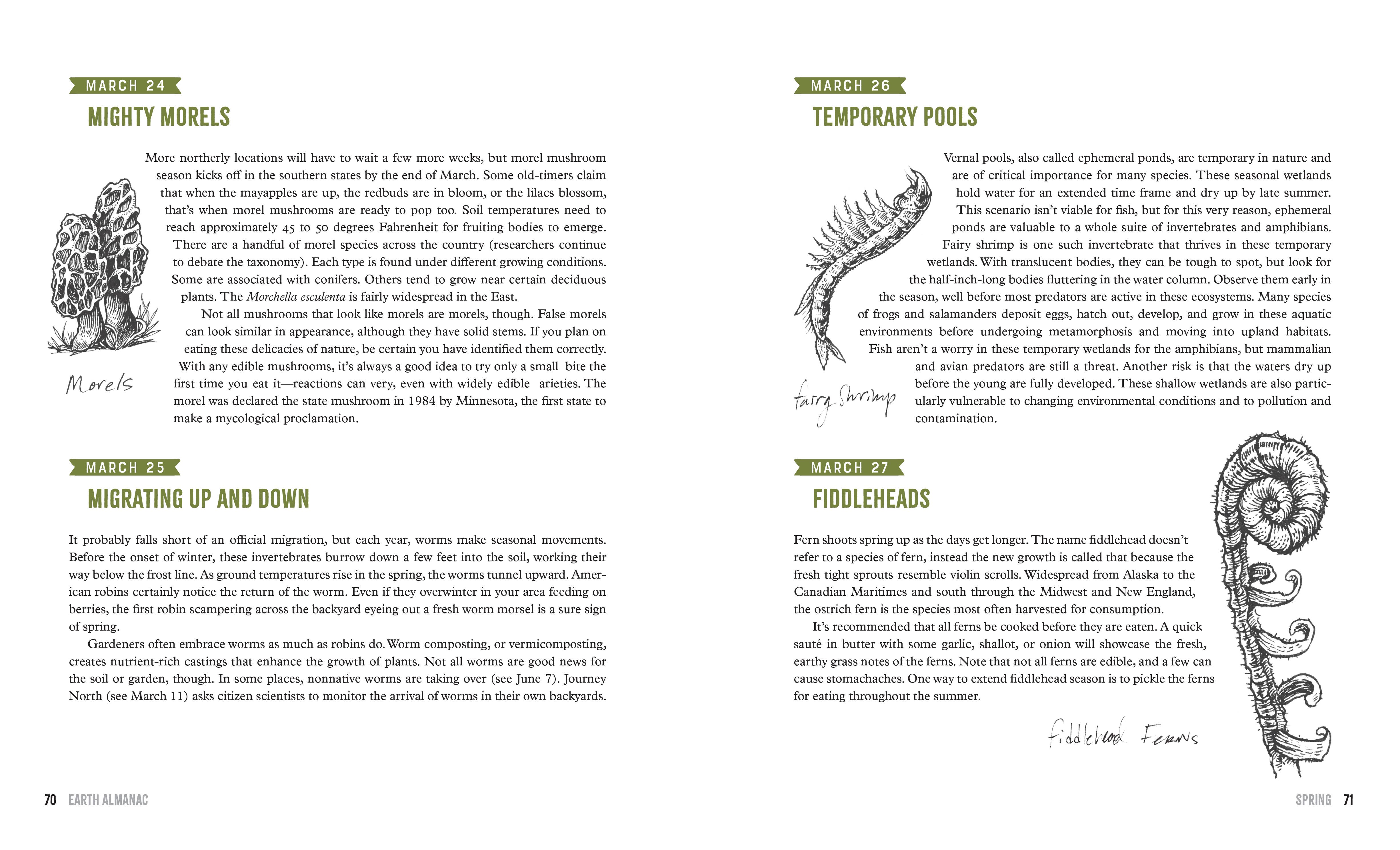 Mountaineers Books - Wholesale Nature & Outdoors Book - Earth Almanac3