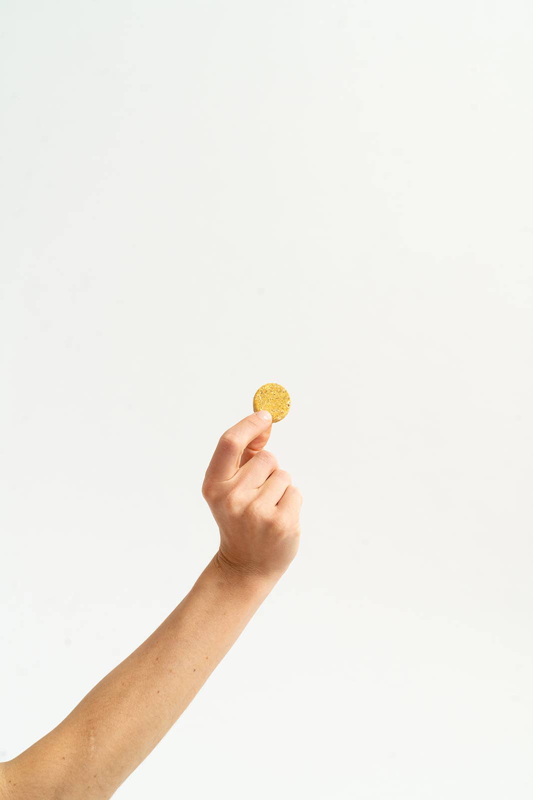 Winnie Lou - Wholesale Pet Treats - Dog - Pumpkin Apple Canine Cookies1