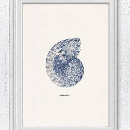 PRRINT! - Wholesale Art Print - Sea shell in blue - Nautilus 1 (Ammonitida)