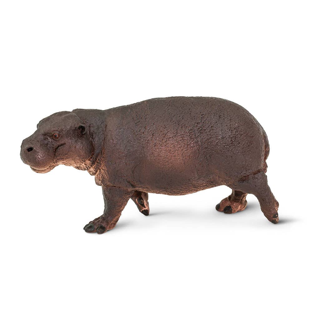 Safari Ltd. - Wholesale Figurine Toy - Kids - Pygmy Hippo - 2292290